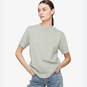 Anine Bing Hudson Tee in Dusty Mint